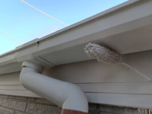 市川市 外壁塗装 付帯部(雨樋)の上塗りローラー作業